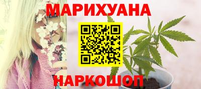 стаф Краснодар