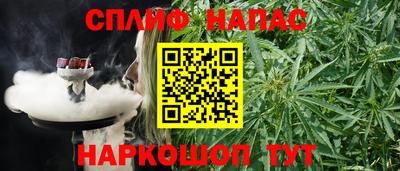 стаф Краснодар