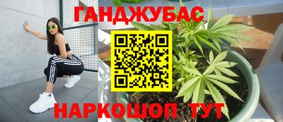 стаф Краснодар